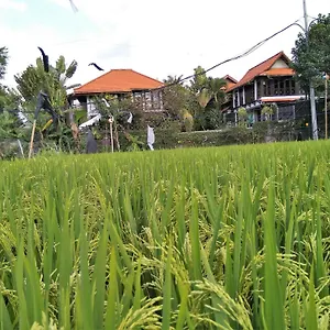 Umah Watu **** Seminyak